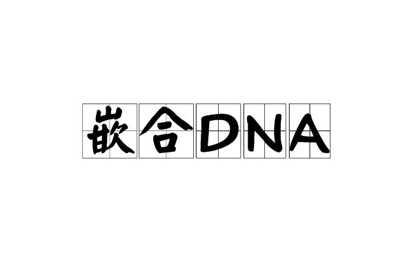 嵌合DNA