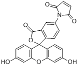 螢光素5-馬來醯亞胺