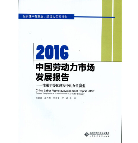 2016中國勞動力市場發展報告