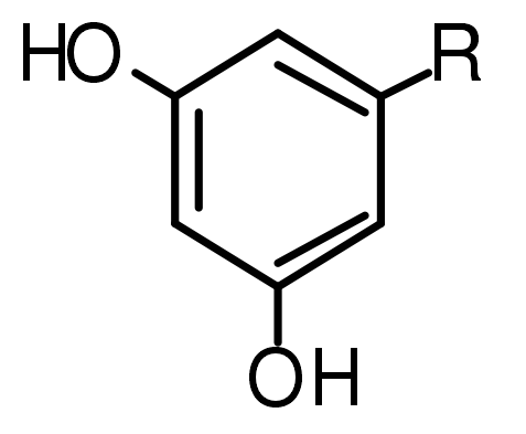 白果二酚