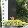 守墓人(看守、管理墳塋墓地的人)