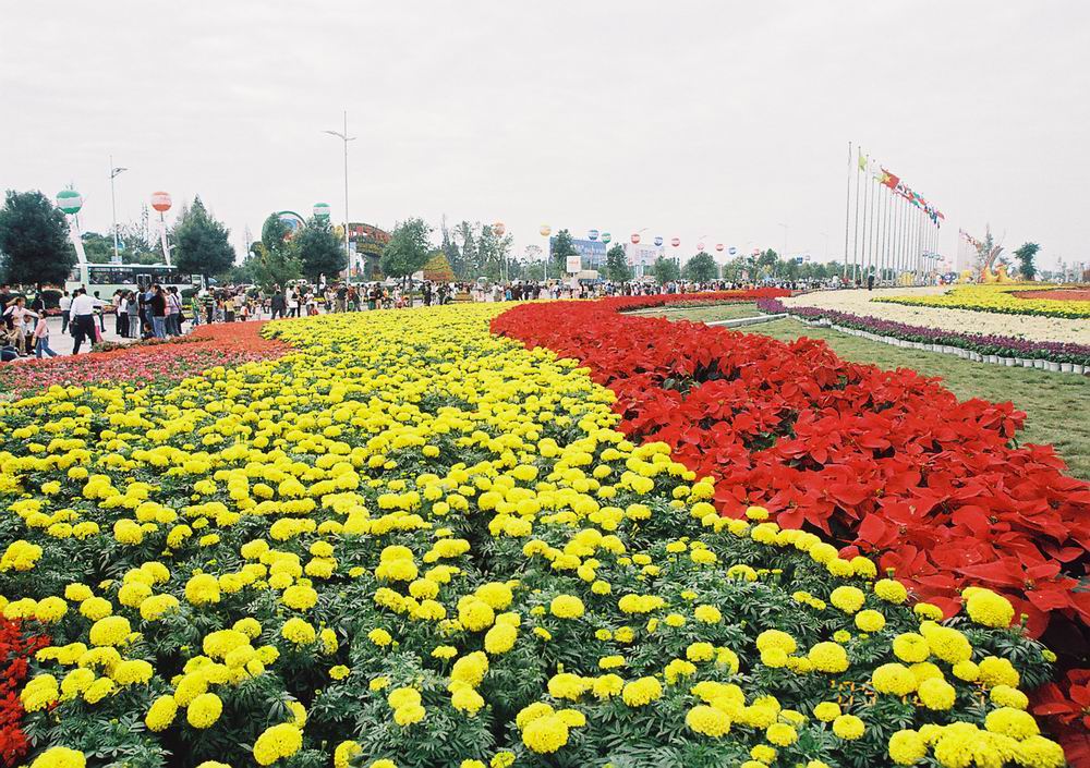 堤邊村