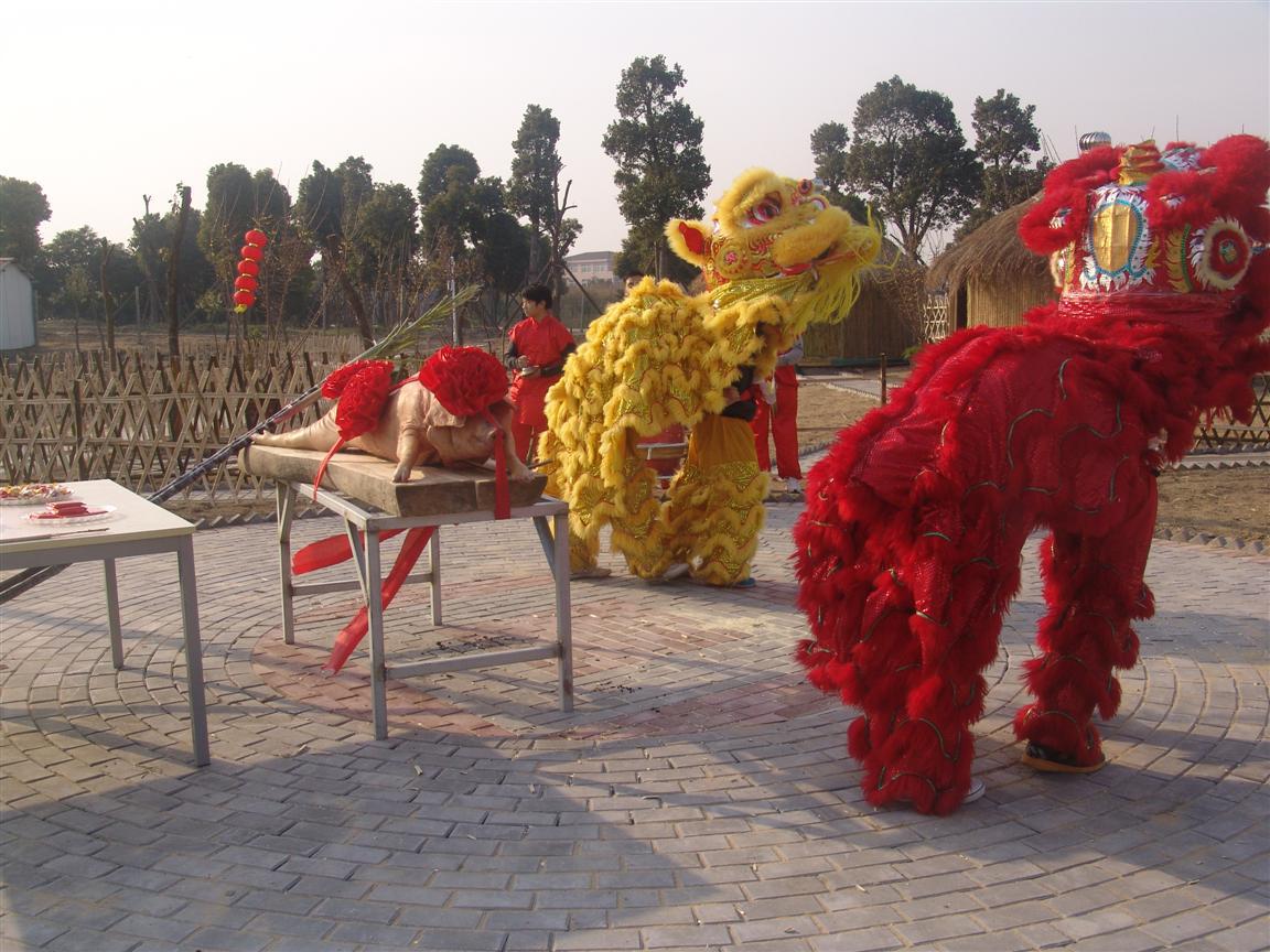 外岡臘梅園(外岡蠟梅園)