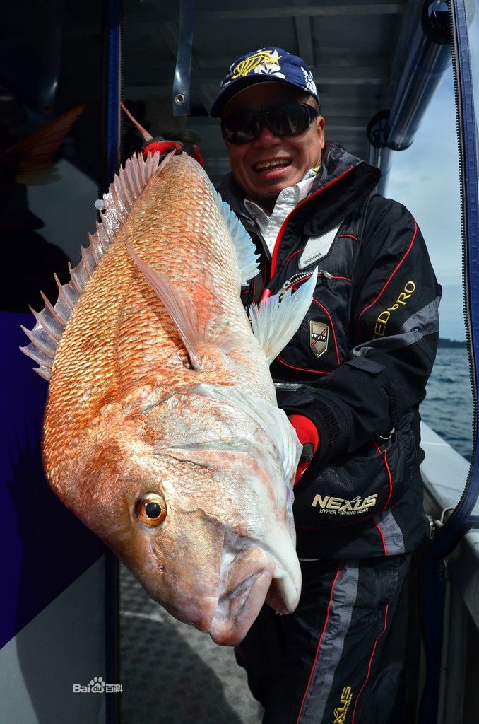 大魚俱樂部