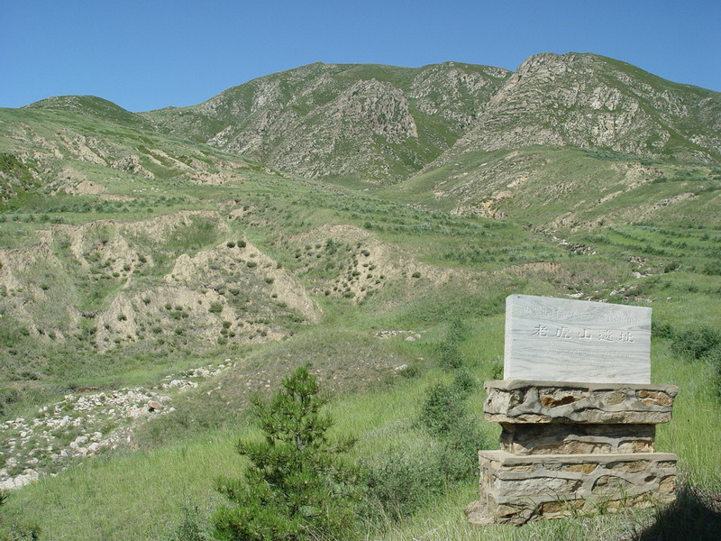 老虎山文化遺址