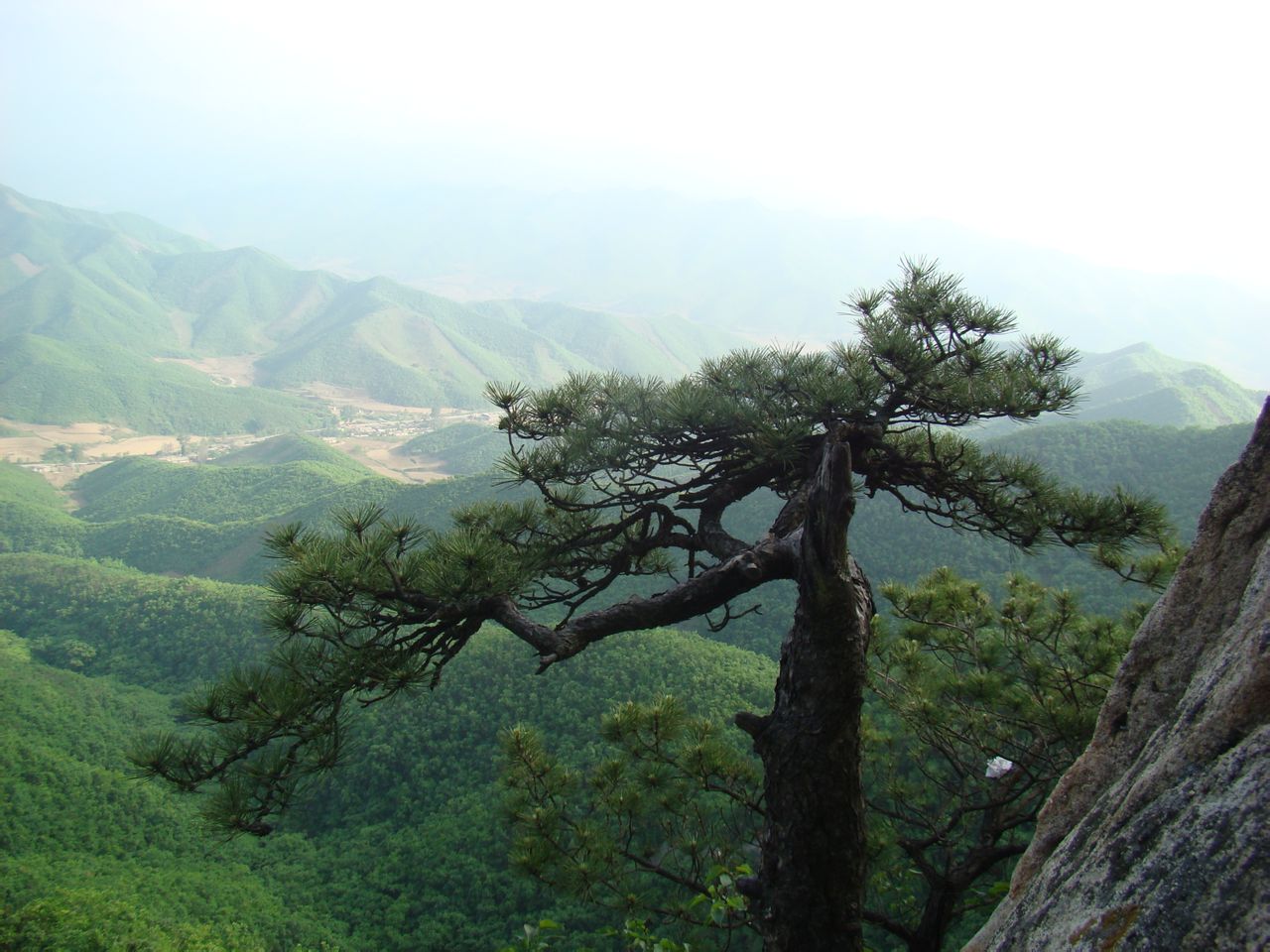 鞍山市(遼寧鞍山)