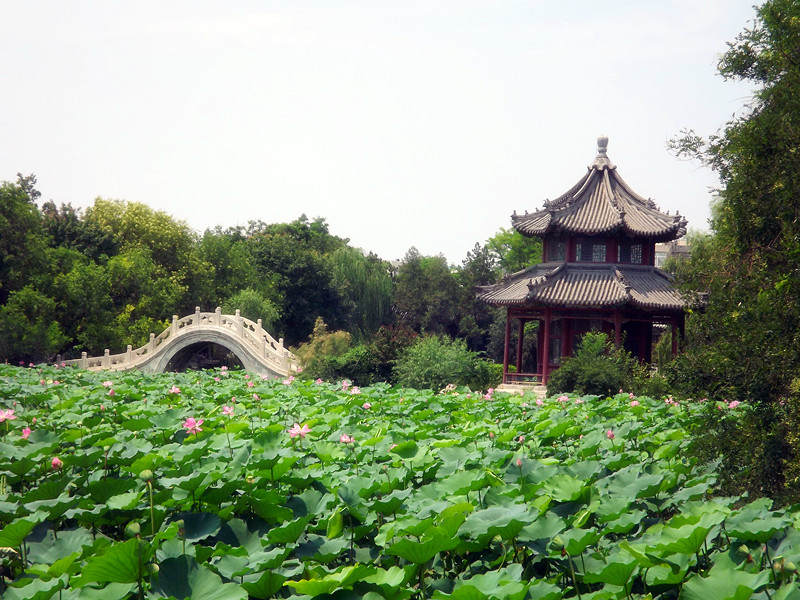 保定八景