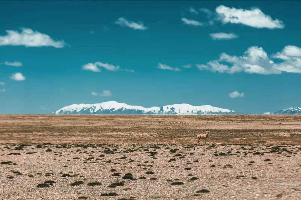 可可西里火山群