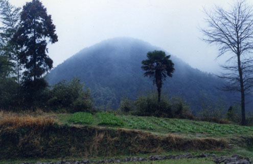 大梅山獨秀峰