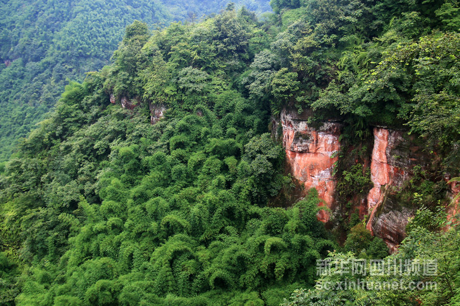 老君山自然保護區(雲南省文山縣自然保護區)