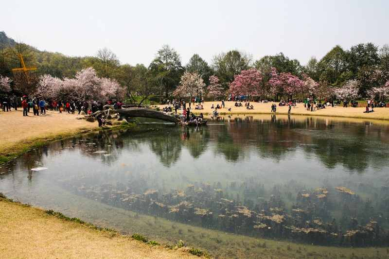 杭州太子灣公園