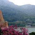 桃花島(安徽省臨泉縣桃花島)