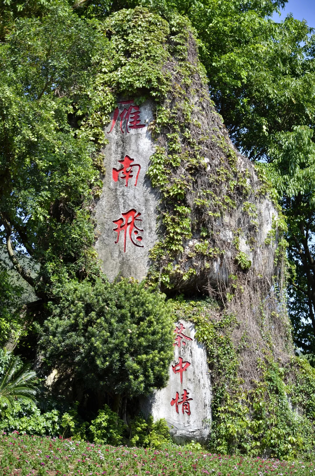 梅州市雁南飛茶田景區