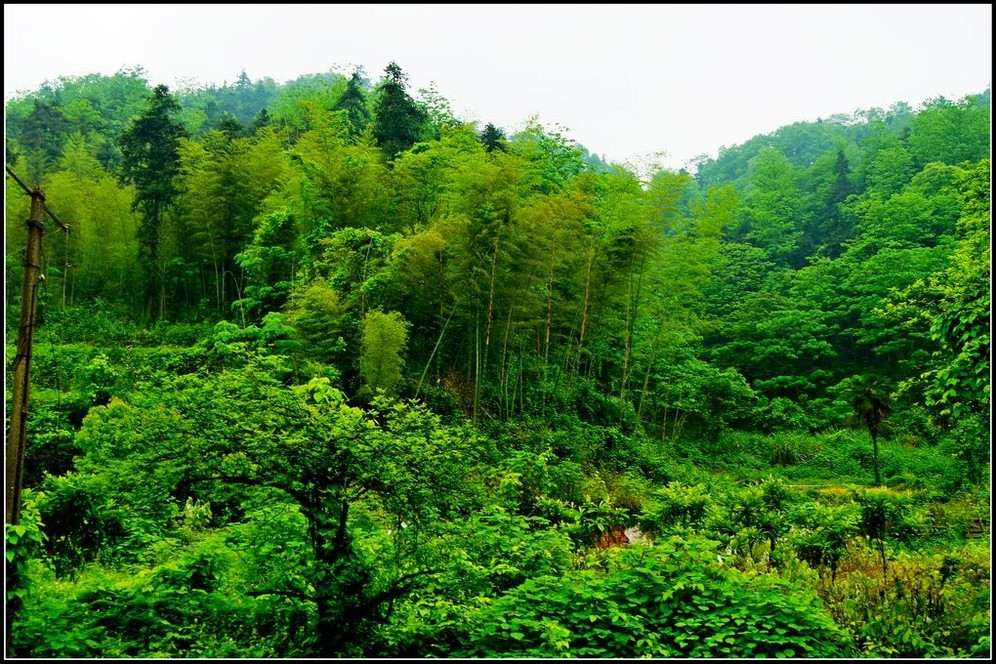 大礱下森林公園