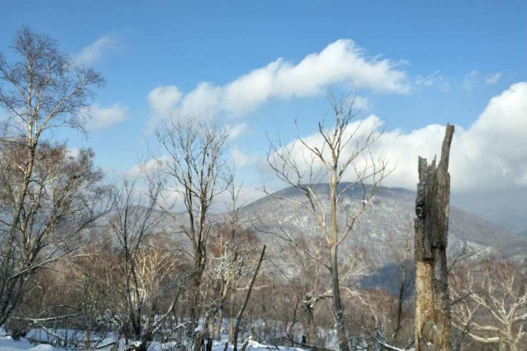 荒溝嶺(長白山系吉林哈達嶺下的山脈)