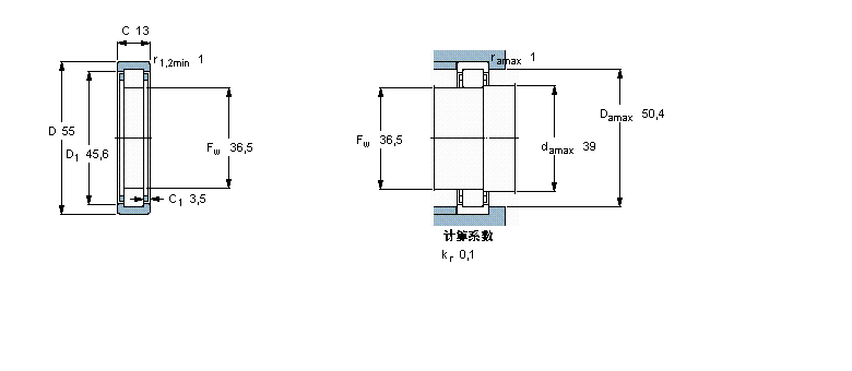 SKF RNU1006軸承