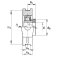 FAG PTUE55軸承