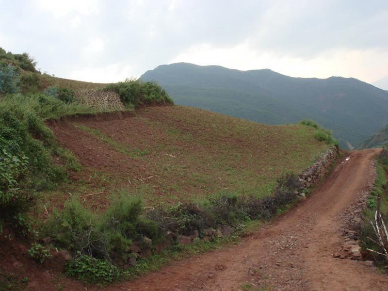 團山良子村