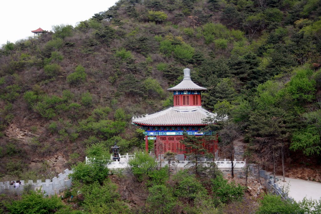 東莊子村(山東省廣饒縣大王鎮下轄村)