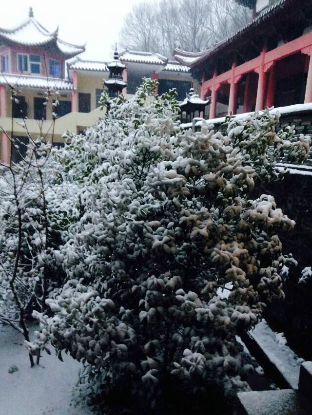 雪中靜謐