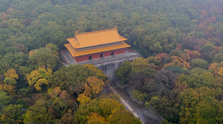 南京市(南京（江蘇省轄地級市、省會）)