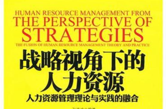 戰略視角下的人力資源——人力資源管理理論與實踐的融合