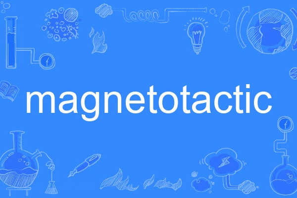 magnetotactic