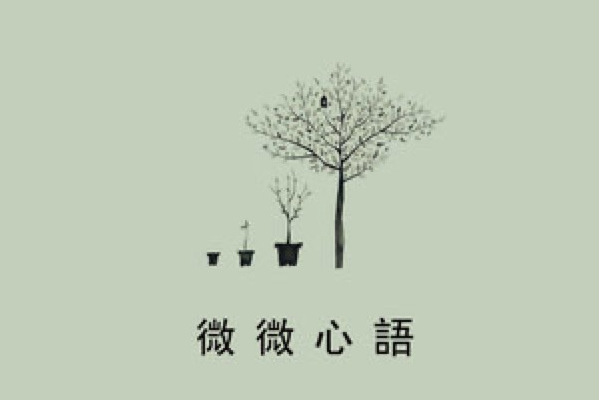 雪洋洋灑灑