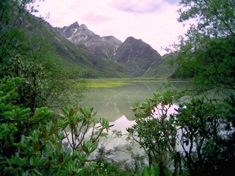 蓮花湖