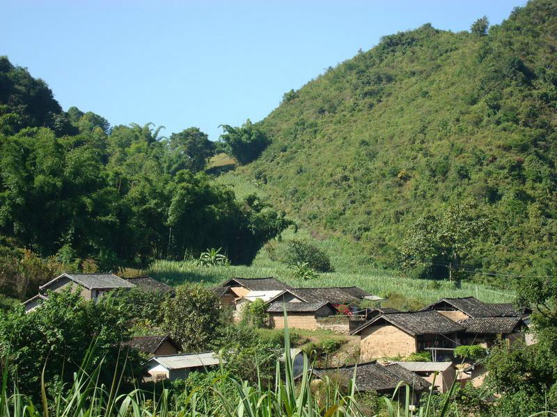 大埡口村(雲南省永德縣小勐統鎮大埡口村)