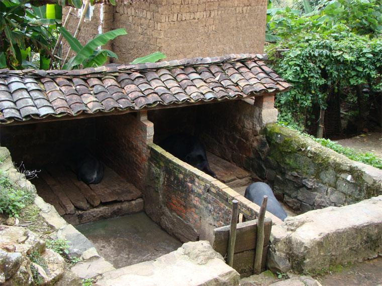 何家墳自然村-養殖業