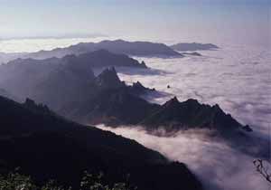 觀霧山森林公園