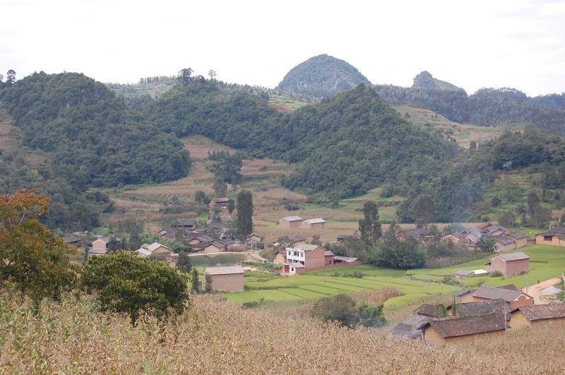 千莊平壩村