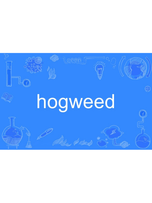 hogweed