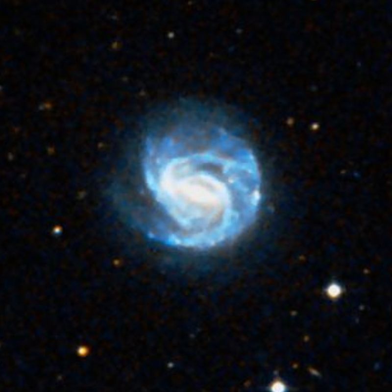 NGC 3367