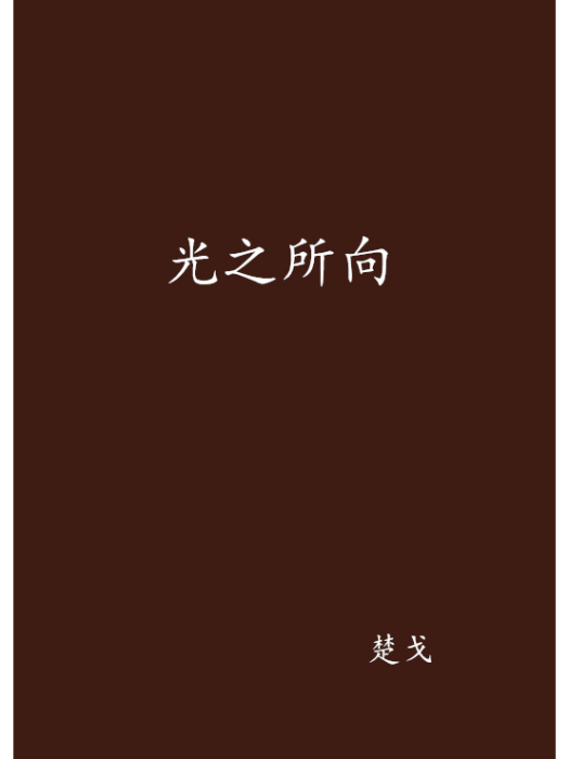 光之所向(楚戈創作的網路小說)