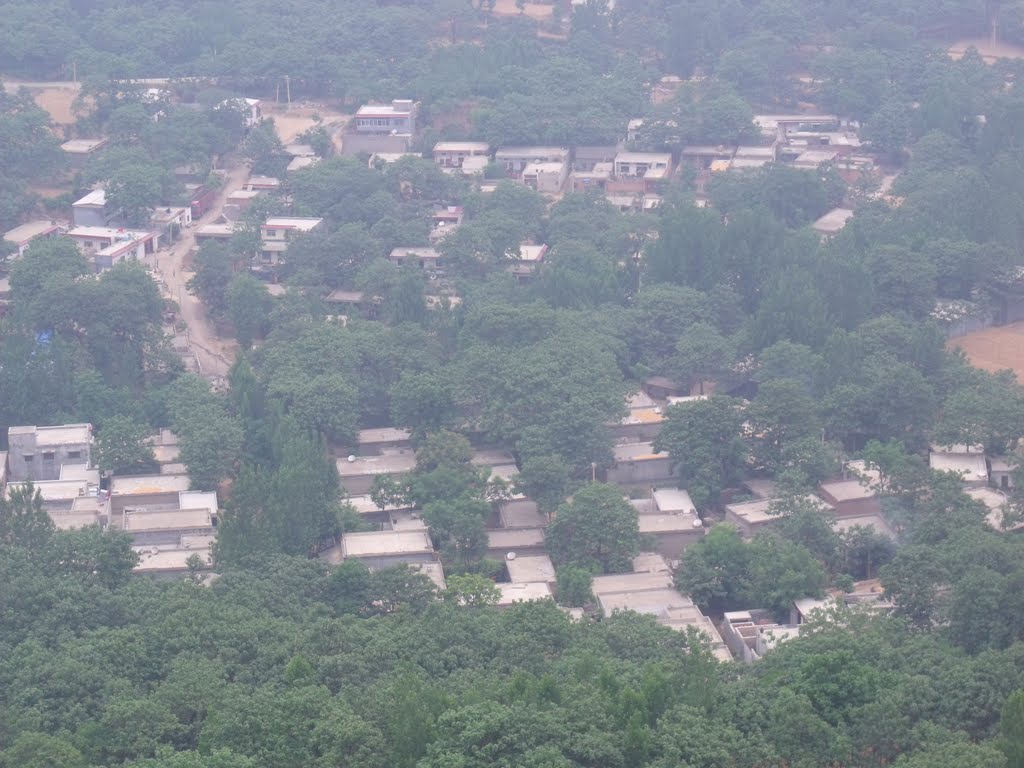 仝家莊村(山西省長治市屯留縣河神廟鄉下轄村)