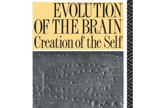 Evolution of the Brain