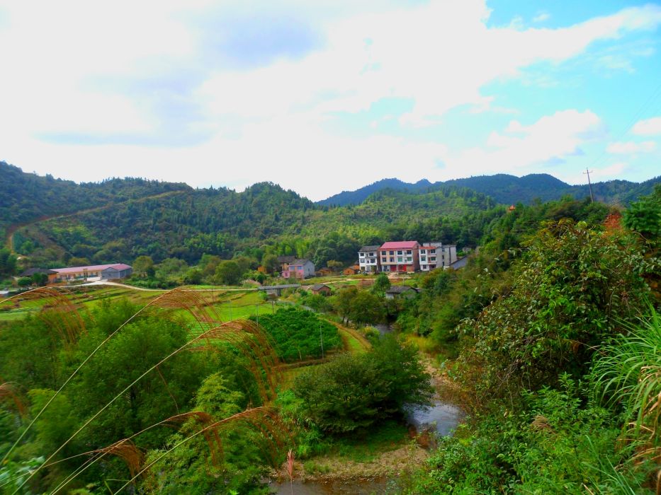 下李茂沖村