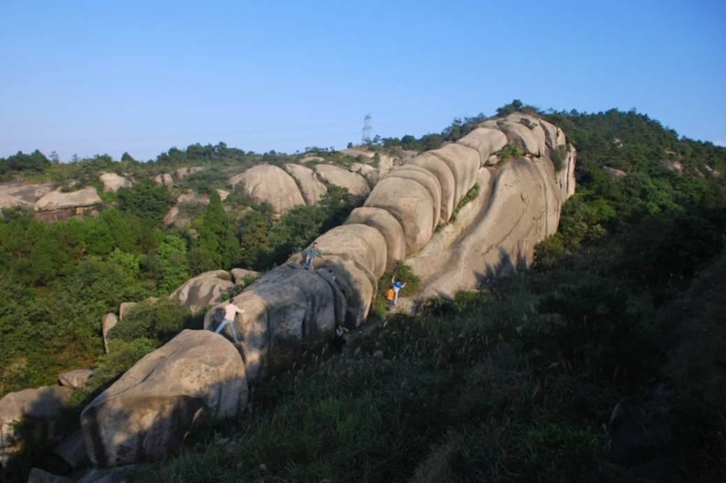 溫州茶山省級森林公園