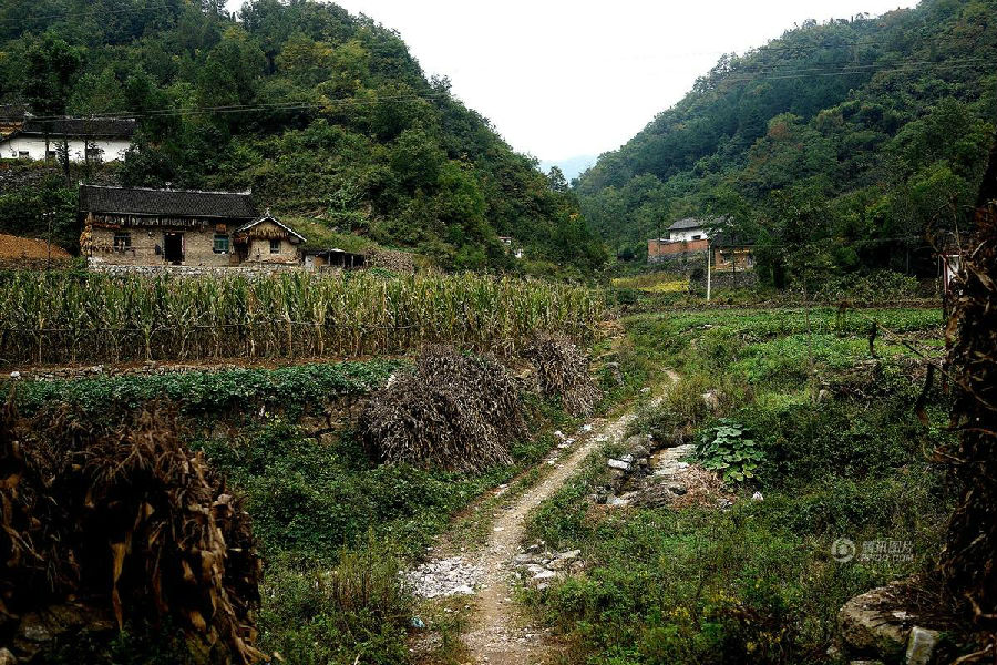 莊河村(雲南蘭坪縣石登鄉下轄村)