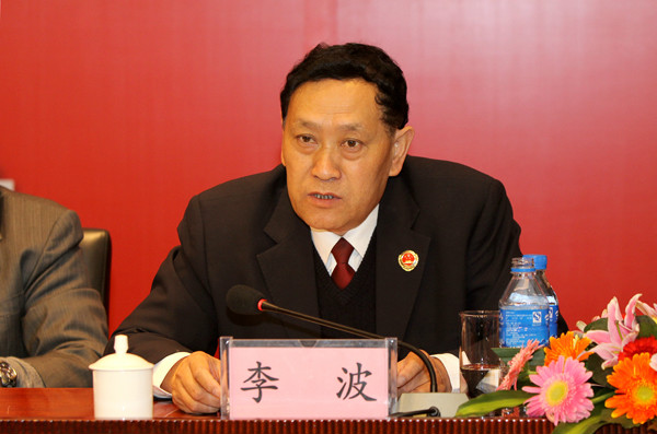 李波(雲南省人民檢察院副檢察長)