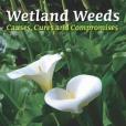 Wetland Weeds