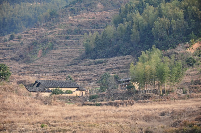 後山村(雲南省楚雄南華縣馬街鎮後山村委會)