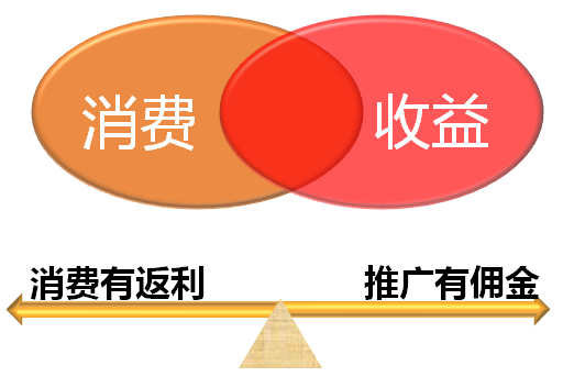 杭州帥柏電子商務有限公司