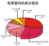 膠原蛋白的成分圖