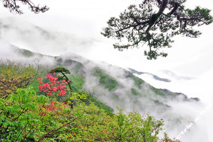 南京龍王山景區