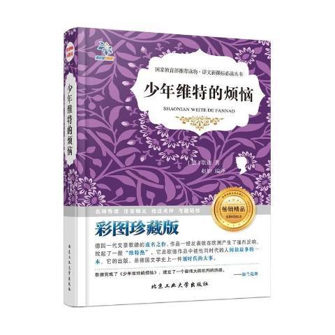 少年維特的煩惱(2016年北京工業大學出版社出版的圖書)