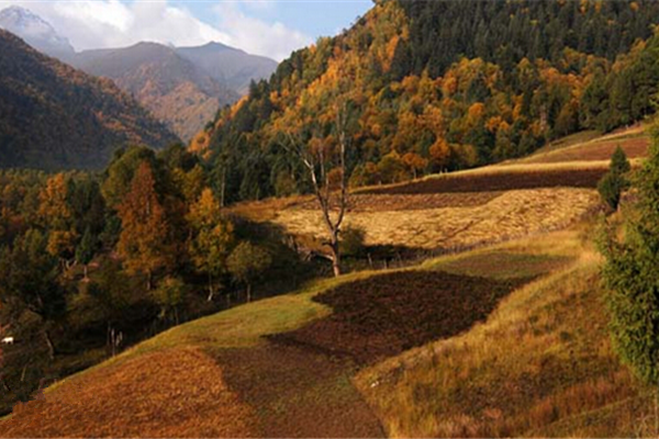 北山森林公園