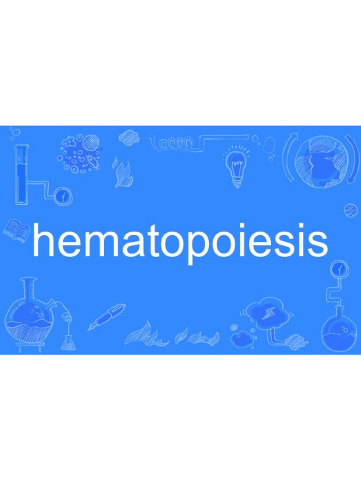 hematopoiesis